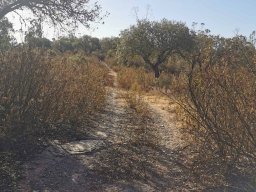 2022-09-09 Jogo Airsoft ANA - SALAMANDRA 1